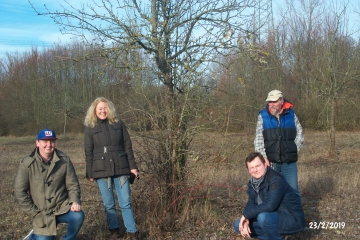 ausgleich-spitzwiese-2019-5