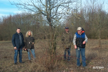 ausgleich-spitzwiese-2019-7