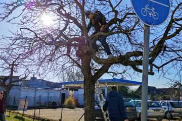 5c2c7a99-ef89-45cf-9bfe-4ccb577faea1