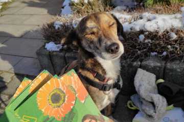 WhatsApp-Image-2021-02-12-at-17.45.22