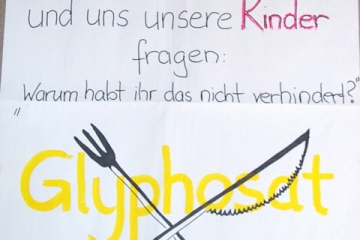 Wahlplakat_17